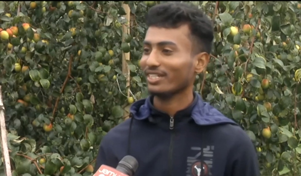 নদীর পাড়ে কুল চাষেই সফল কুমিল্লার যুবক