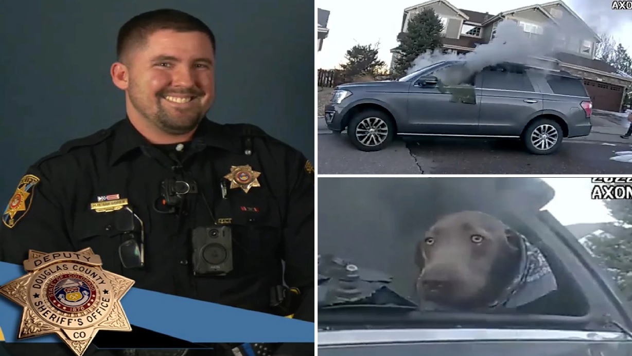 জ্বলন্ত গাড়ি থেকে নাটকীয় কায়দায় উদ্ধার হলো কুকুর (ভিডিও)