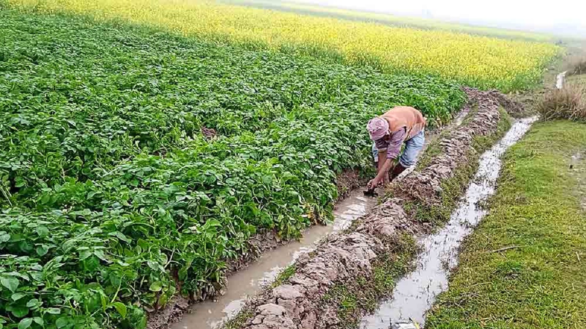 অ্যাকাউন্টে আসা ১৭ লাখে বাড়ি বানালেন কৃষক, ৬ মাস পরে ব্যাংক বললো ‘মিসটেক’!