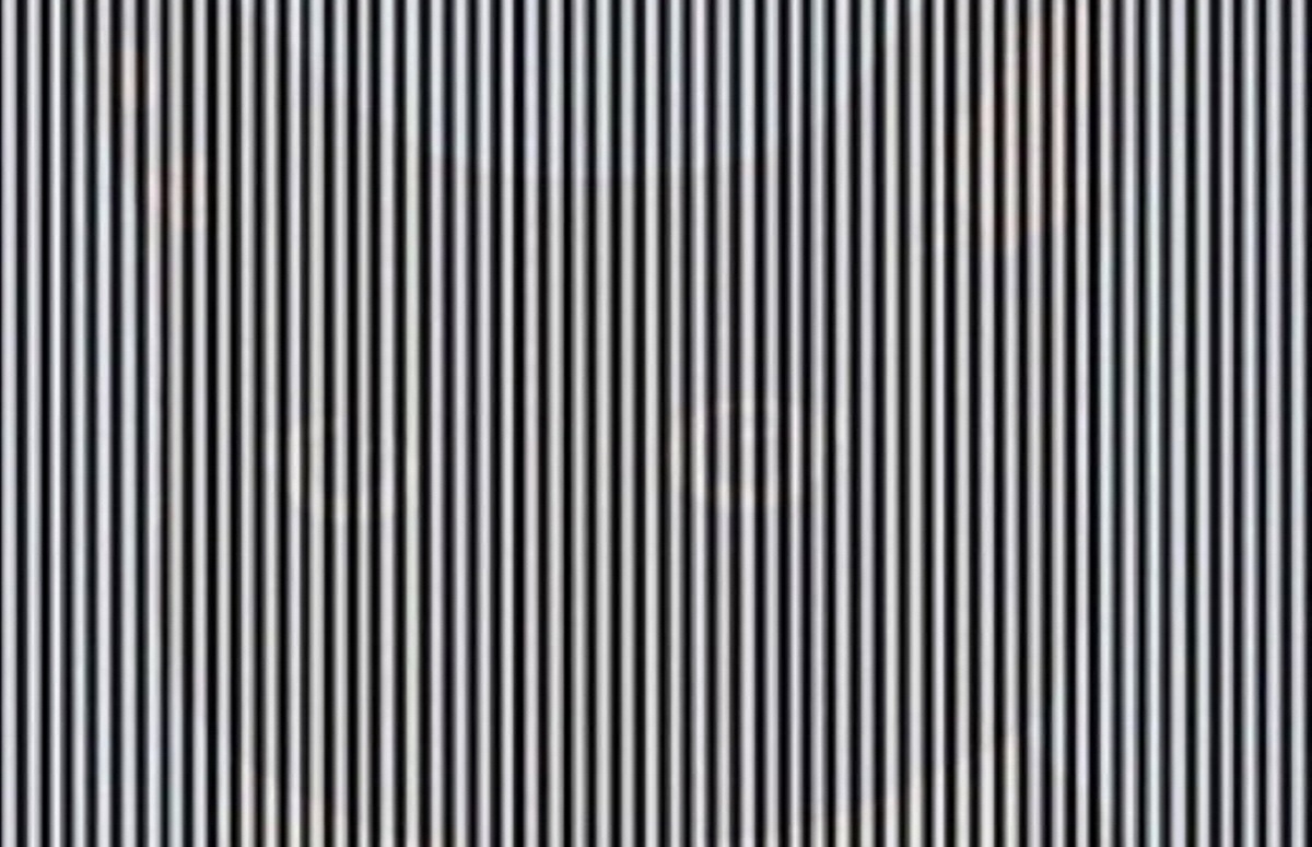 সাদা-কালো দাগের মধ্যে রয়েছে ‘রহস্য’, খুঁজে বের করার চ্যালেঞ্জ নিন