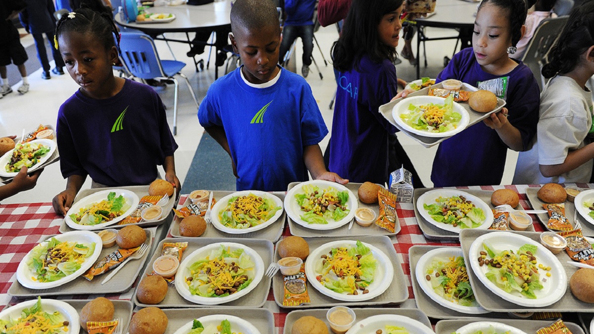 নিউইয়র্কে সপ্তাহে একদিন শিক্ষার্থীদের দেয়া হবে নিরামিষ