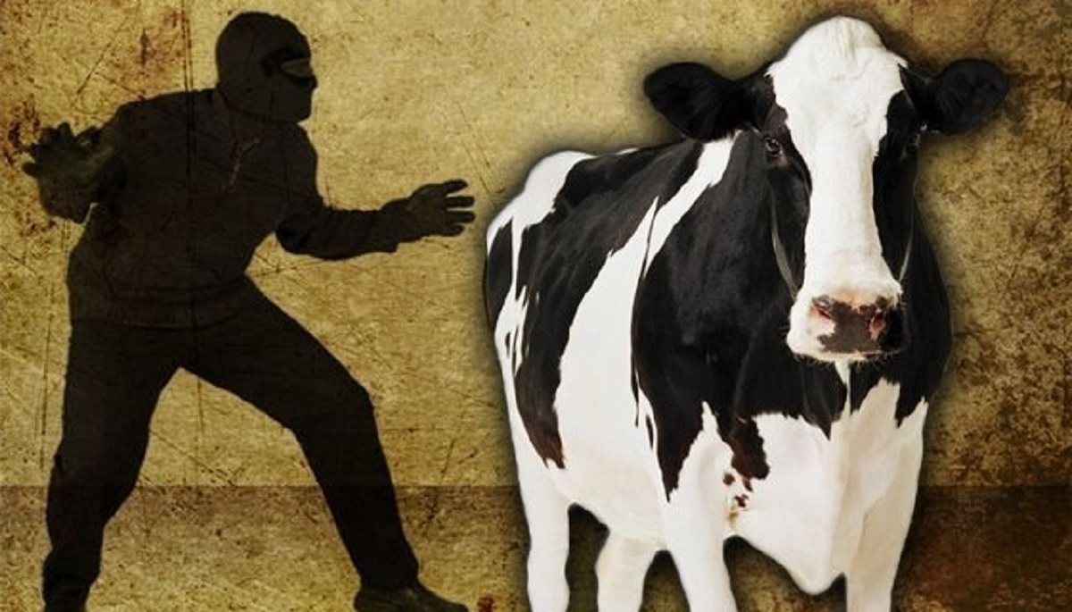 পাবনায় গৃহকর্তাকে কুপিয়ে আহত করলো গরুচোর