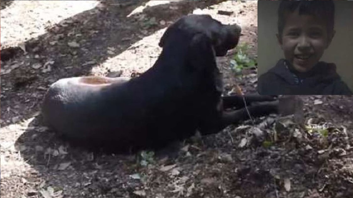 শিশু রায়ানের কবরের পাশ থেকে সরছে না তার কুকুরটি