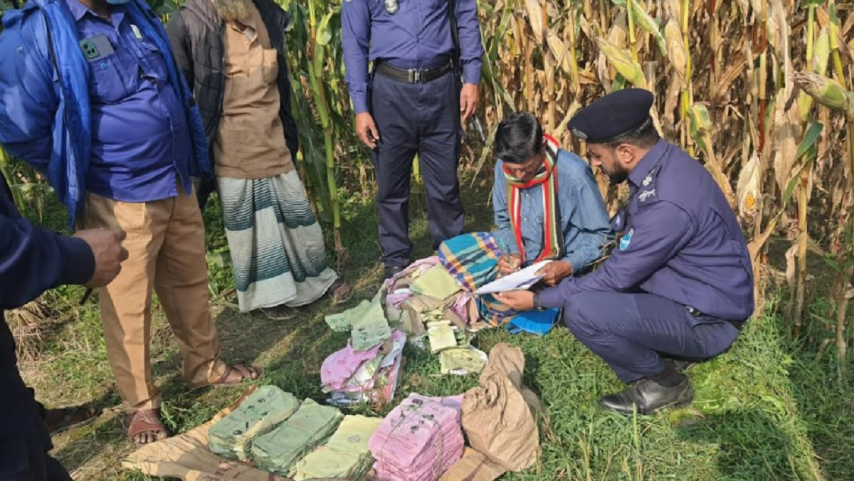 ভুট্টা ক্ষেতে মিললো ছিনতাই হওয়া ব্যালট পেপার