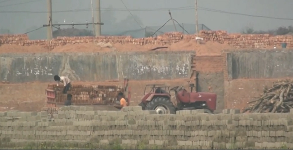 টাঙ্গাইলে যত্রতত্র গড়ে উঠছে ইটভাটা, উজাড় হচ্ছে বন