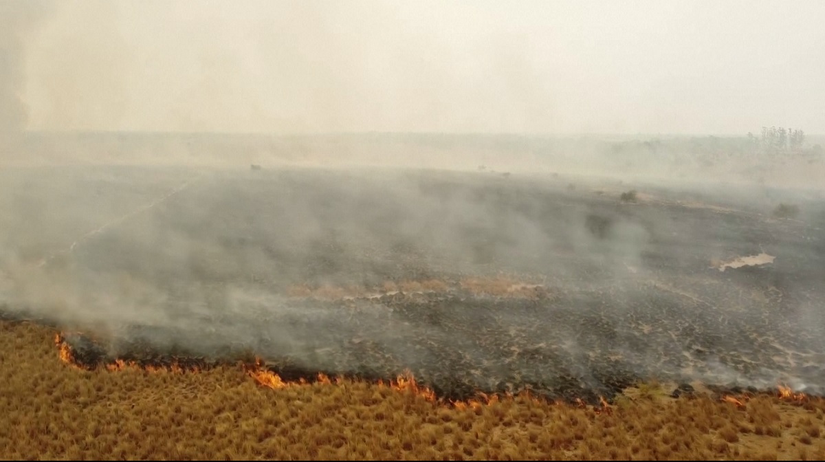 দাবানলে পুড়ছে আর্জেন্টিনার উত্তর-পূর্বাঞ্চল