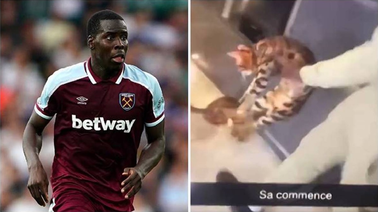 পোষা বিড়ালকে নির্যাতন করে আড়াই লাখ পাউন্ড জরিমানা গুনলেন জুউমা