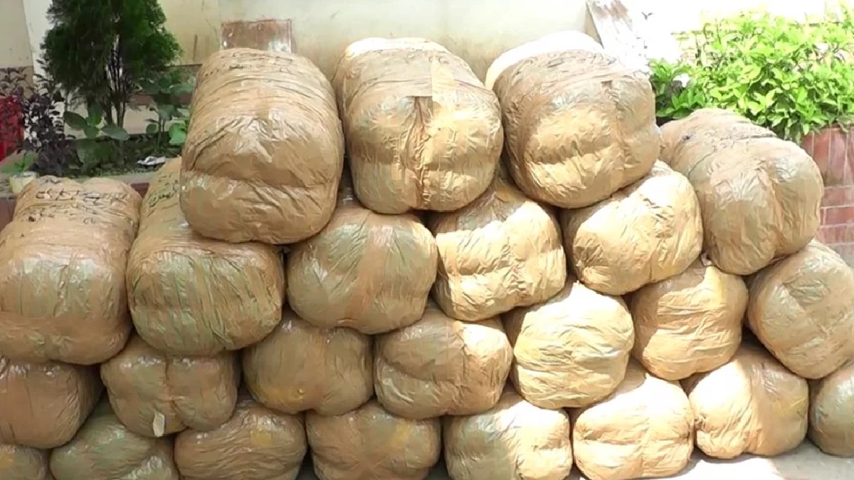 সীমান্তরক্ষী বাহিনীর নাকের ডগা দিয়ে ভারত থেকে আসছে গাঁজা