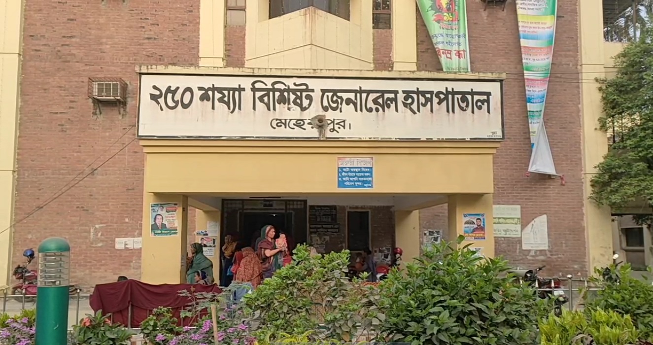 মেহেরপুরে সড়ক দুর্ঘটনায় ড্রাইভার ও হেলপার নিহত