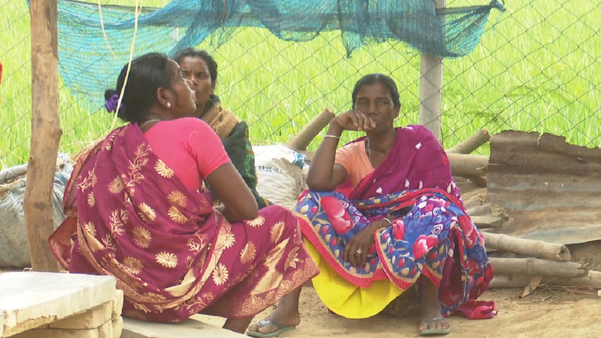 সেচ না পেয়ে আত্মহত্যা বুঝিয়ে দেয় কেমন আছে কৃষক