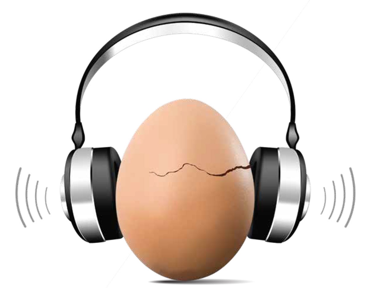 যেকোনো অনুষ্ঠানে শব্দের তীব্রতার আন্তর্জাতিক মানদণ্ড প্রকাশ করলো ডব্লিউএইচও