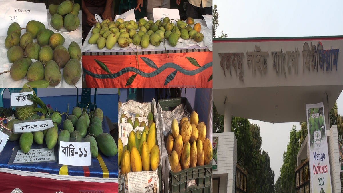 আমের অর্থনীতি পুনরুদ্ধারে ১ম আম সম্মেলন