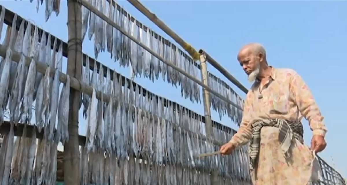 নিম্নমানের শুঁটকি ঢুকছে দেশে, লোকসানের মুখে পেশা ছাড়ছেন দেশীয় উৎপাদকরা