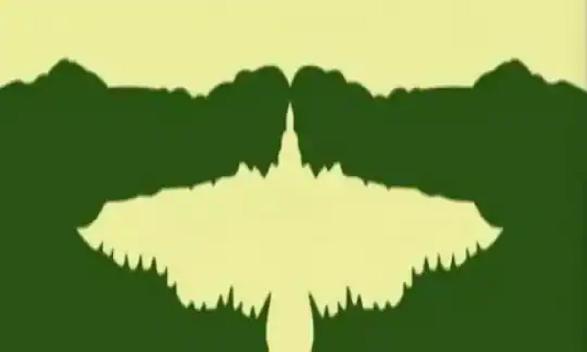 নিয়ন্ত্রণ করেন নাকি নিয়ন্ত্রণে থাকেন? এই ছবিতে কী দেখছেন সেটিই বলে দেবে!