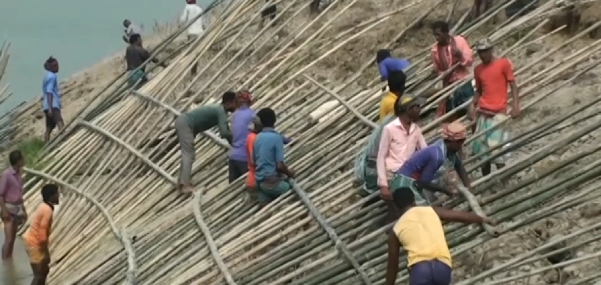 অপরিপক্ক ফসল কাটতে আর বাঁধ রক্ষায় প্রাণপণ চেষ্টা নেত্রকোণার কয়েক হাজার মানুষের