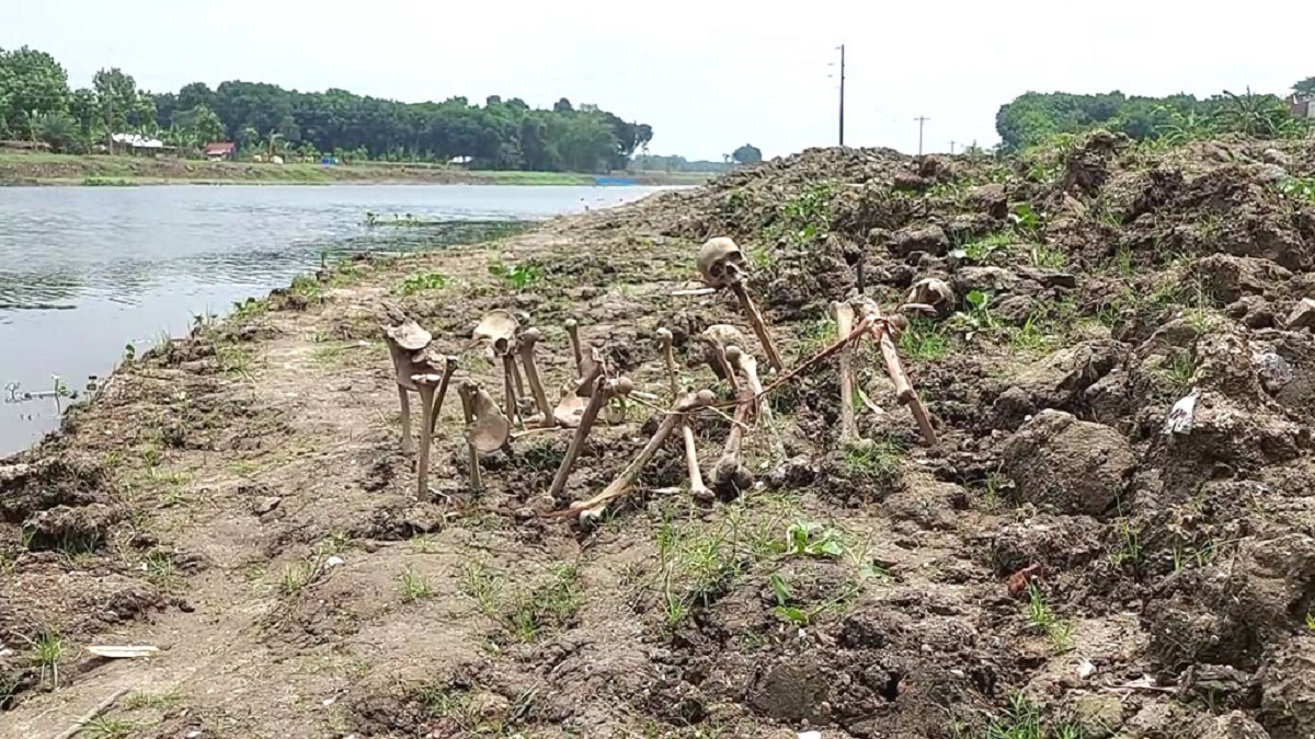 কপোতাক্ষের তীরে গণকবরের সন্ধান, মুক্তিযুদ্ধের চিহ্ন বলছেন স্থানীয়রা