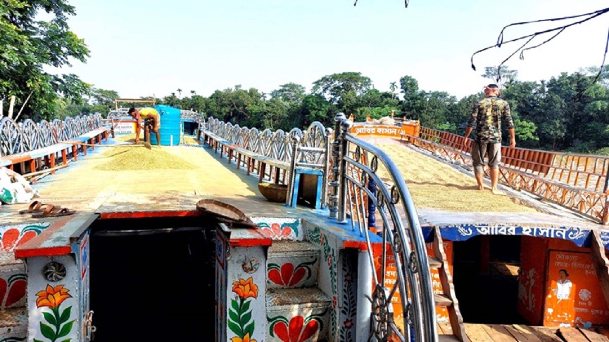 বাড়ির আঙিনায় বন্যার পানি, নৌকায় ধান শুকাচ্ছেন কৃষক