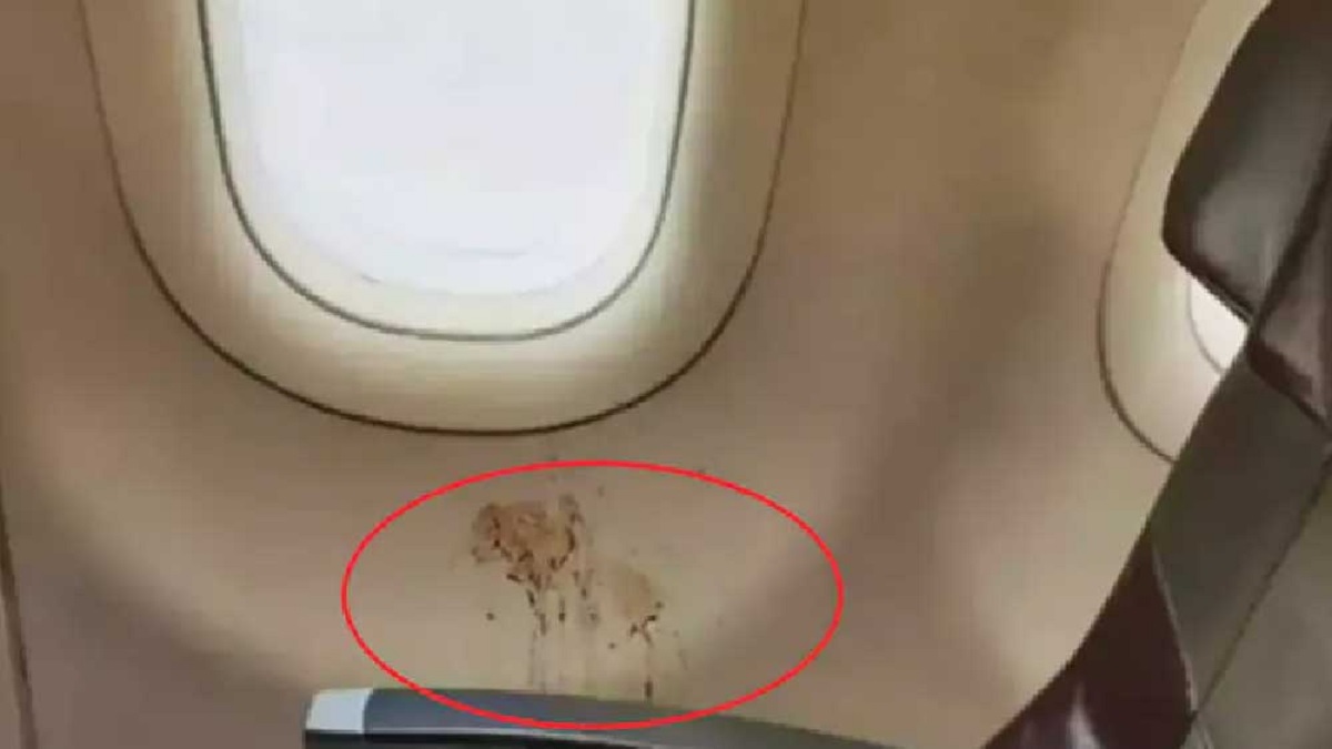 বিমানের জানালায় পানের পিক! ছবি প্রকাশ্যে আসতেই শাস্তি দাবি