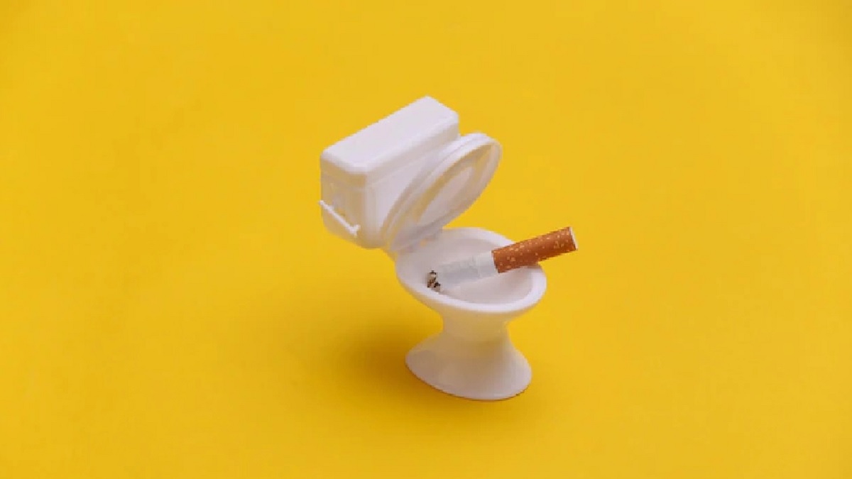 সকালে সুখটান না দিলে ‘টয়লেট’ হয় না? জেনে নিন ভয়ানক কারণ