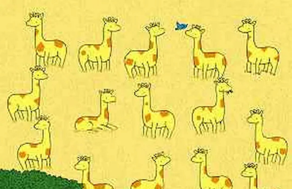 ছবিতে একটা জিরাফ একেবারে আলাদা! খুঁজে বের করার চ্যালেঞ্জ নিন