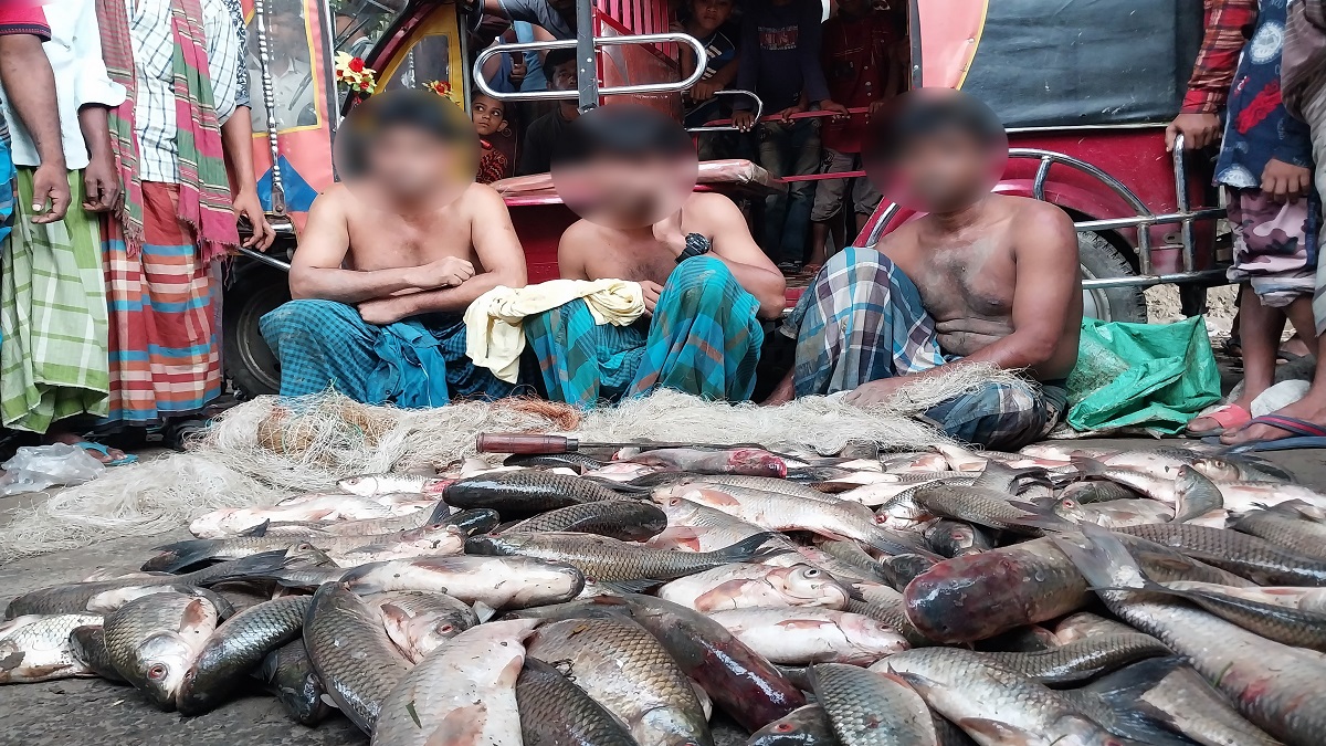 ঝিনাইদহে মাছ চুরি করতে গিয়ে হাতেনাতে ধরা, জরিমানা ও মুচলেকা দিয়ে দফারফা