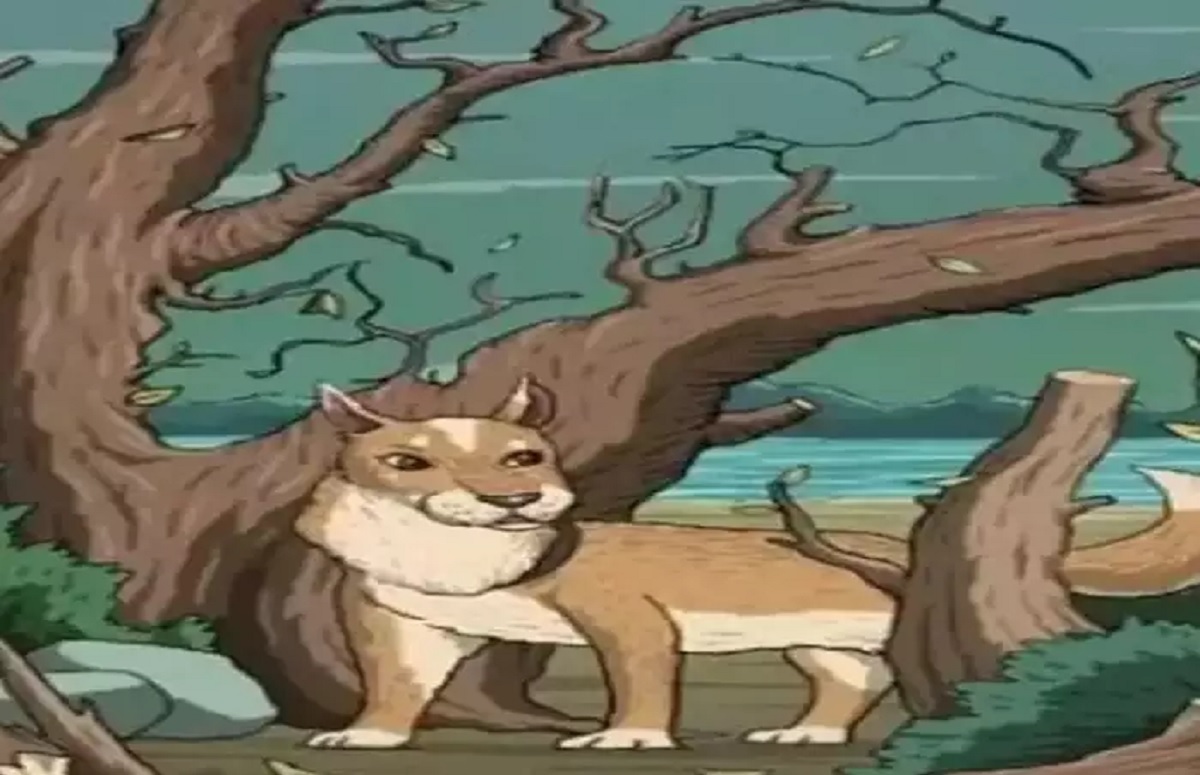 কুকুর ছাড়াও এই ছবিতে রয়েছে আরেকটি প্রাণী, খুঁজে বের করার চ্যালেঞ্জ নিন