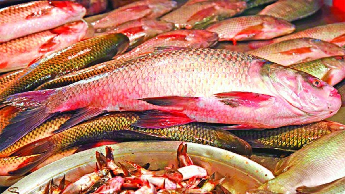 মাছ খেলে বাড়তে পারে ত্বকের ক্যানসারের ঝুঁকি!