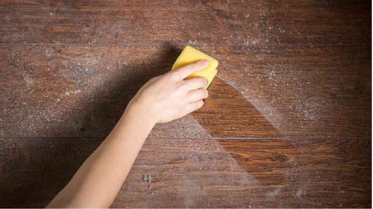 বর্ষাকালে কাঠের আসবাবপত্রে ছত্রাক পড়ছে? জেনে নিন সমাধান