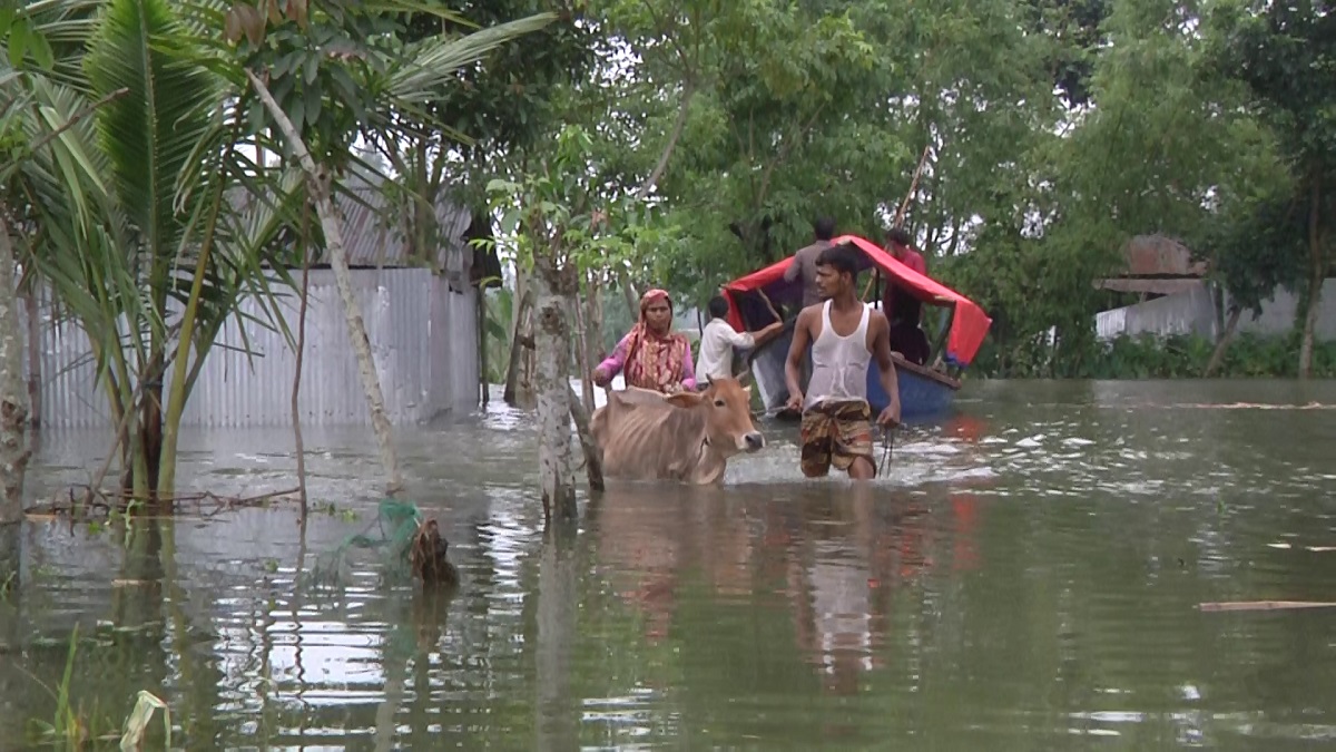 তিস্তা অববাহিকার বন্যার্তদের খাদ্য সংকট চরমে