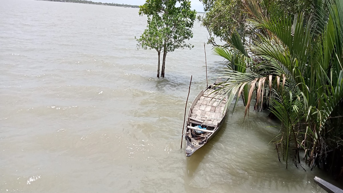 সাতক্ষীরার মাদার নদীতে মাছ ধরতে গিয়ে জেলে নিখোঁজ