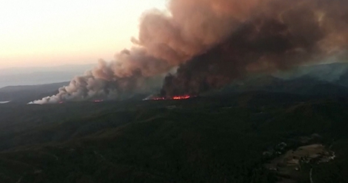 তুরস্কের দক্ষিণ-পশ্চিমাঞ্চলের বনভূমিতে ভয়াবহ দাবানল