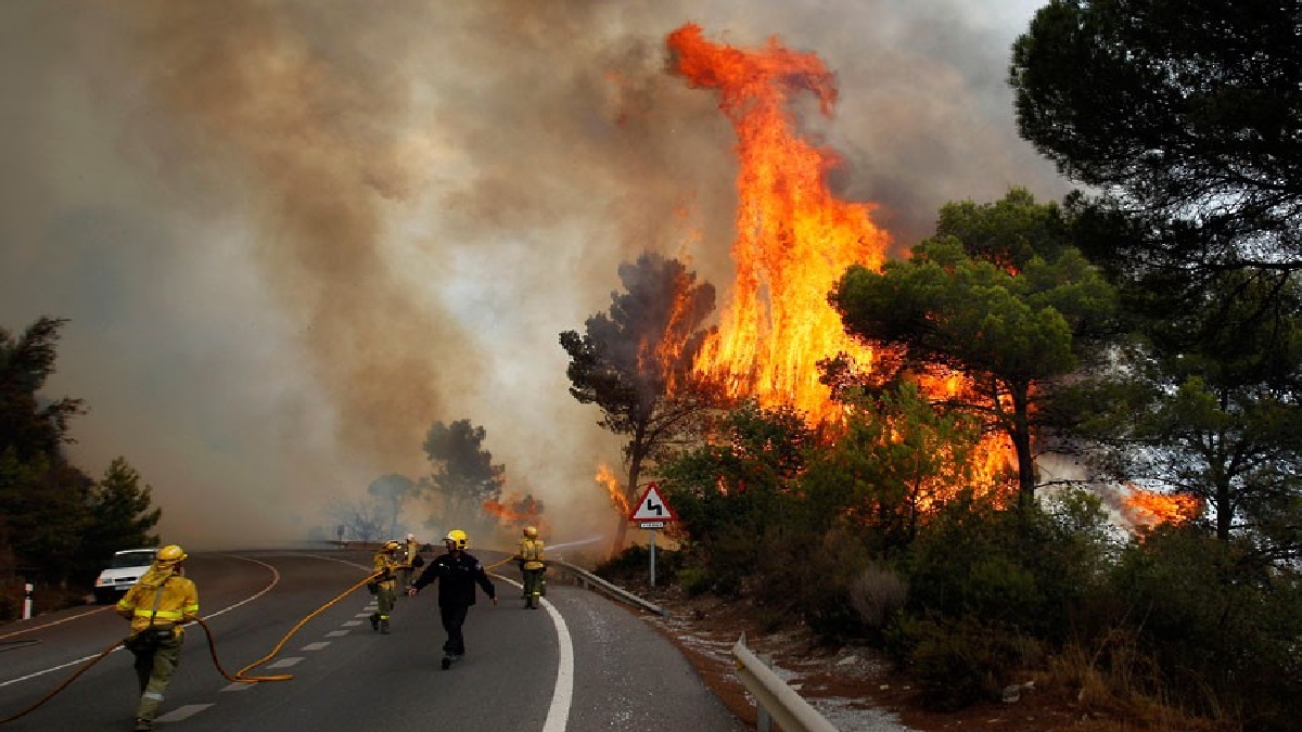 ভয়াবহ দাবানলে বিপর্যস্ত স্পেনের দক্ষিণাঞ্চল
