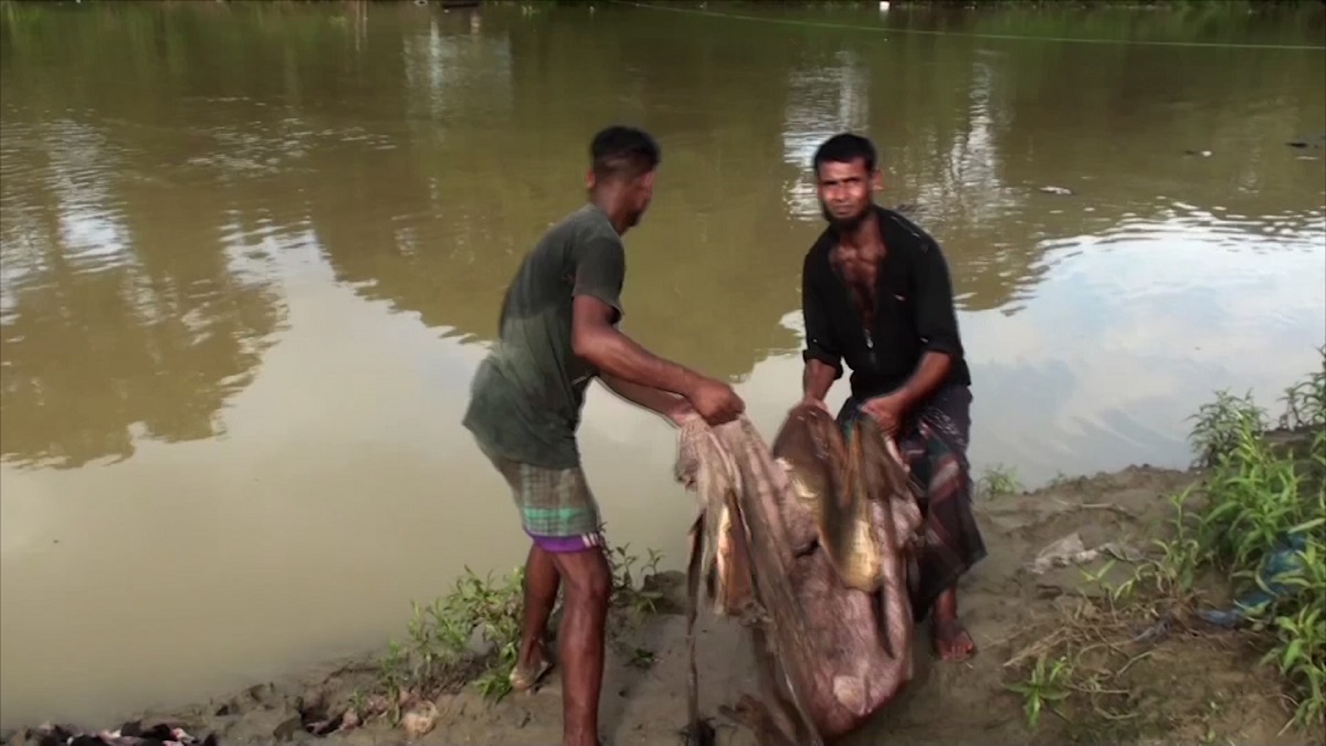 দাম না পেয়ে চামড়া নদীতে ফেলে দিয়েছের মৌলভীবাজারের ব্যবসায়ীরা