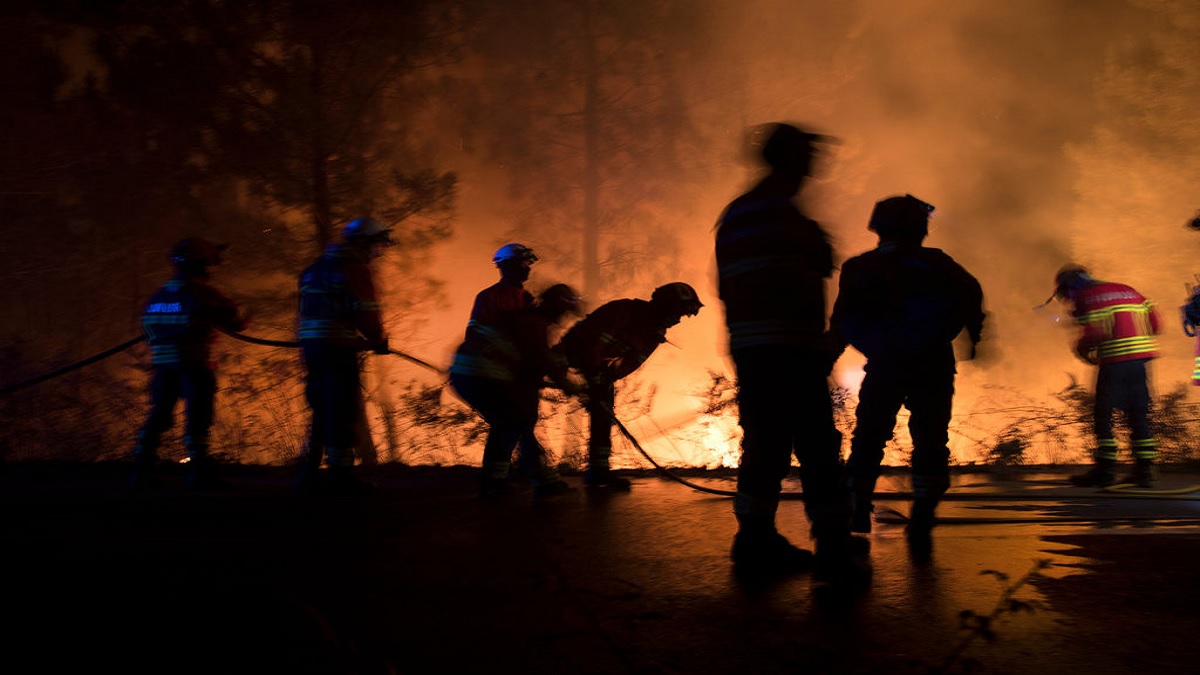 দাবানল নিয়ন্ত্রণে জরুরি অবস্থা পর্তুগালে