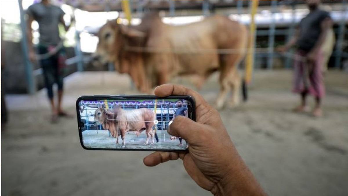 খোলা থাকছে রাজধানীর পশুর হাট সংলগ্ন ব্যাংকগুলো