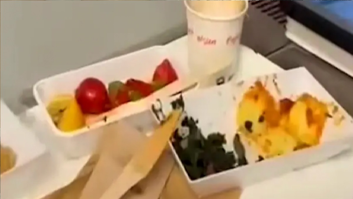 তুরস্কে বিমানের খাবারে পাওয়া গেলো সাপের মাথা