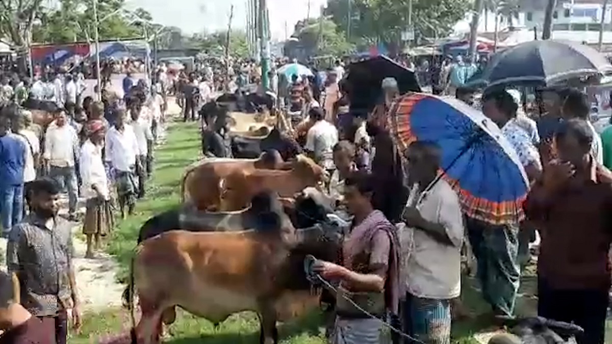 সারাদেশে বসছে কোরবানির হাট, উঠতে শুরু করেছে গরু-ছাগল