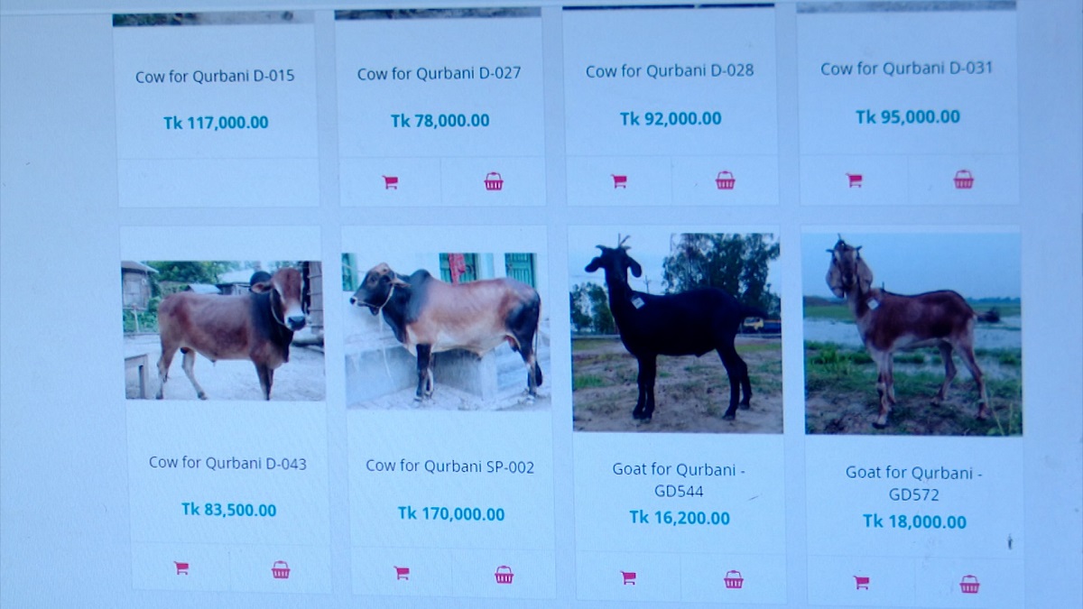 অনলাইন প্ল্যাটফর্মেও জমে উঠছে কোরবানির হাট