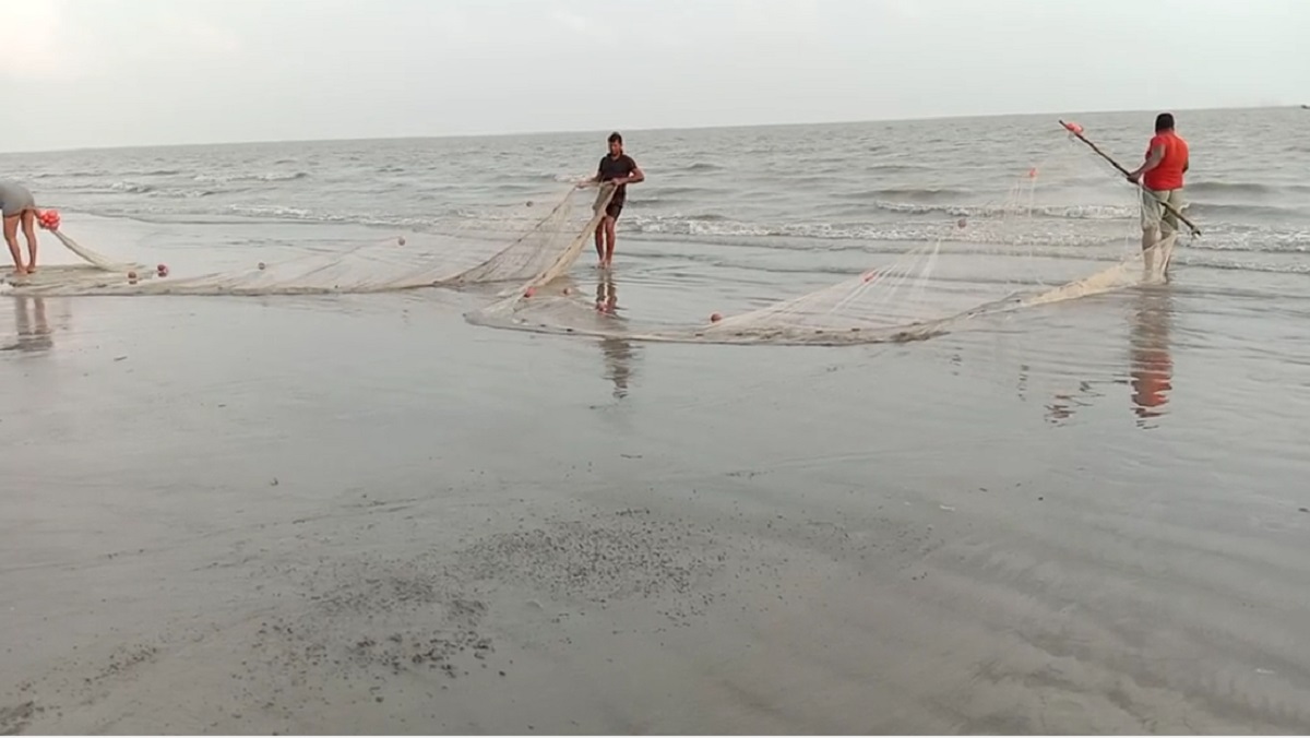 কুয়াকাটা সৈকতে ফের দেখা গেলো বিশ্বের ‘৪র্থ বিষধর’ সাপ
