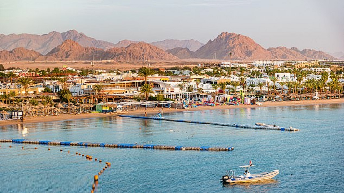 মিশরে সাগরে হাঙরের আক্রমণে নারীর মৃত্যু, সমুদ্রসৈকত বন্ধ ঘোষণা