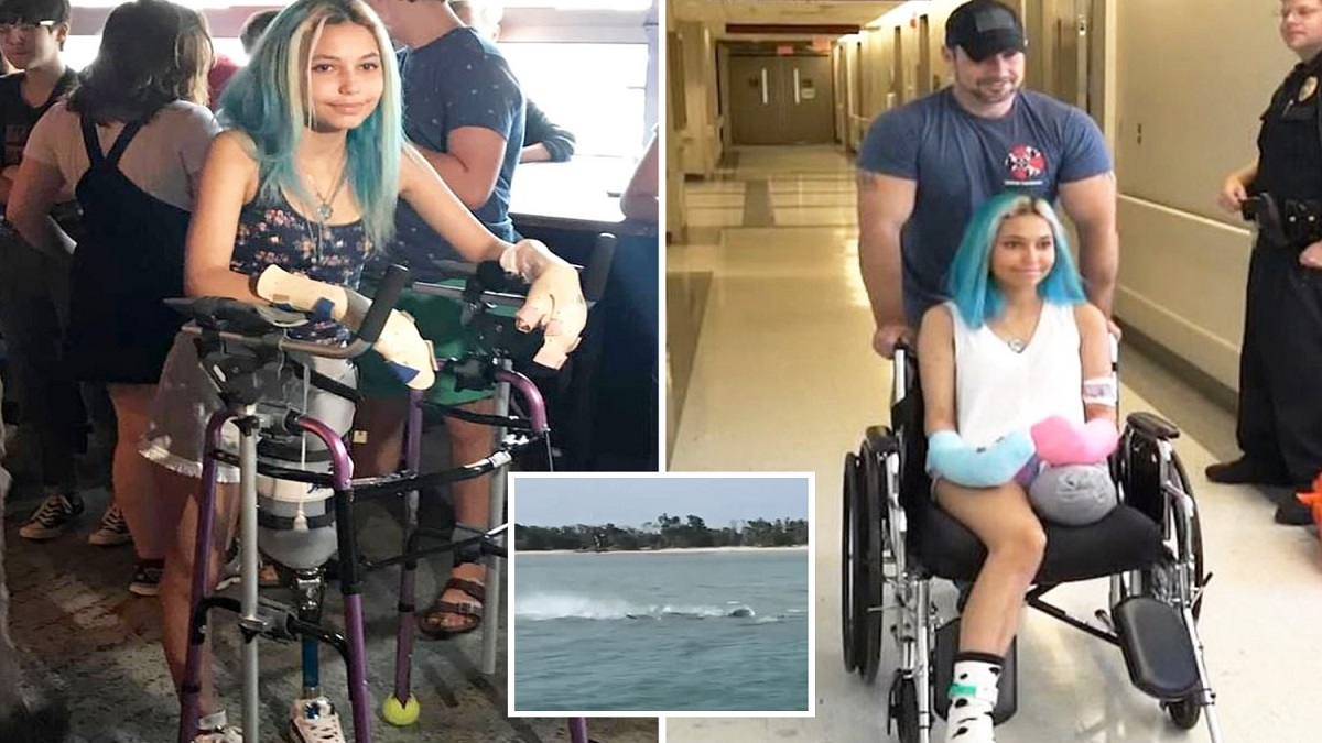 হাঙরের সাথে লড়াই করে বোনকে বাঁচালো ভাই