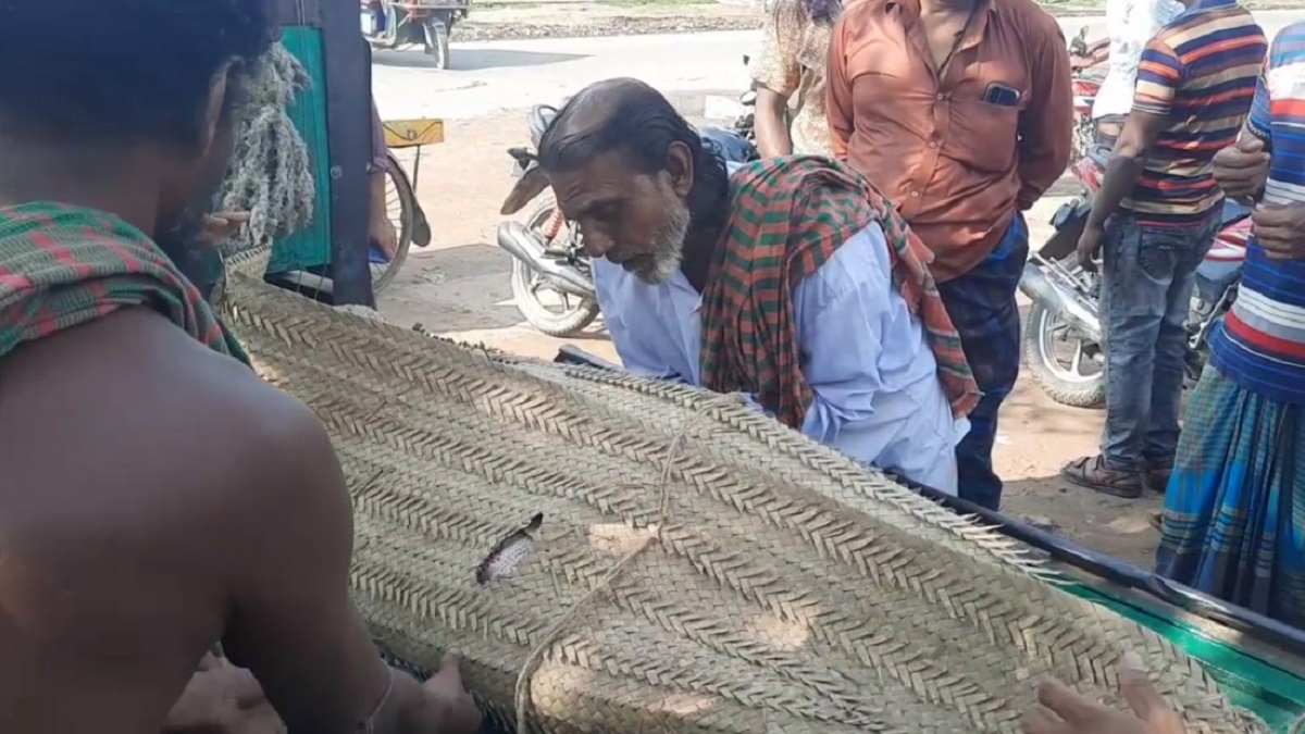 ঝিনাইদহে চোর ধরতে গিয়ে প্রাণ হারালেন বৃদ্ধ বাগানমালিক