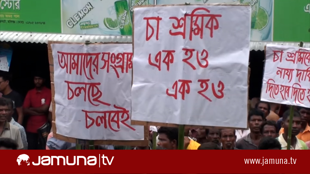 মজুরি ১৪ টাকা বাড়ানোর প্রস্তাব বাগান মালিকদের, মানবেন না চা শ্রমিকরা