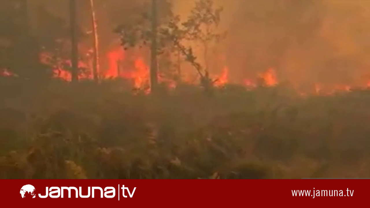 ফ্রান্সের দাবানল নিয়ন্ত্রণে যোগ দিলো ইউরোপের দেশগুলো