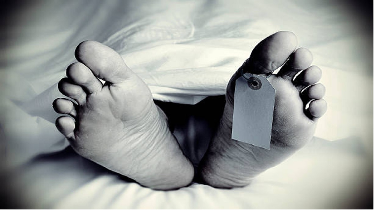 শোক দিবসের পতাকা উত্তোলনের সময় বিদ্যুৎস্পৃষ্টে ২ ভাইয়ের মৃত্যু