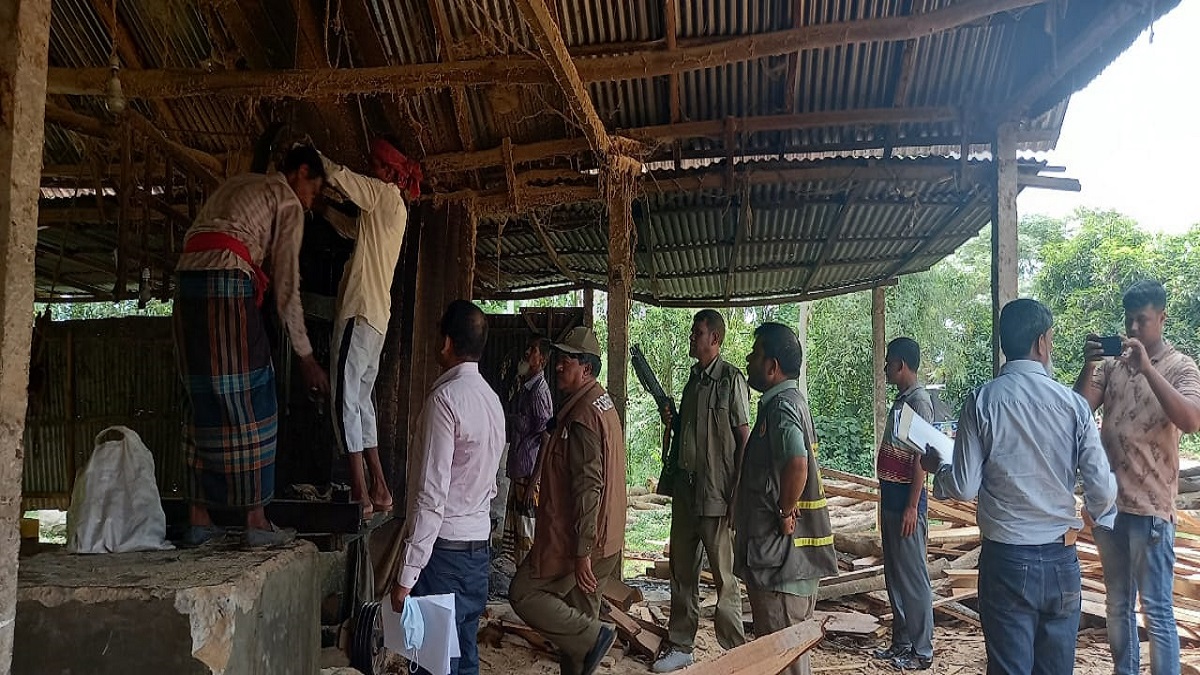 গাজীপুরে লাইসেন্স বিহীন করাতকল পরিচালনায় মালিকের কারাদণ্ড