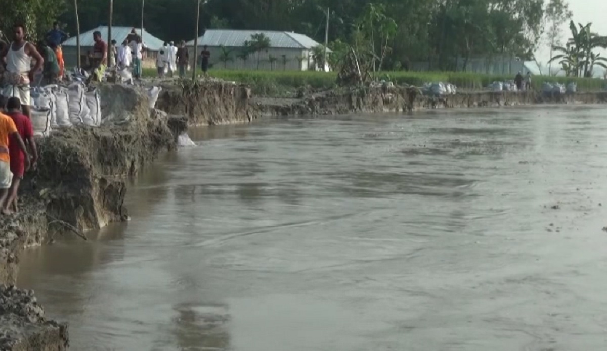 বন্যার পর তীব্র নদী ভাঙনে হুমকিতে লালমনিরহাটের জনজীবন