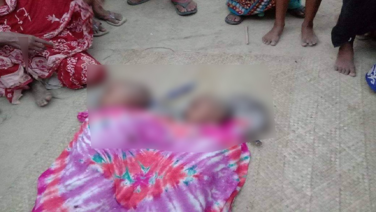 নাটোরে পানিতে ডুবে দুই ভাইয়ের মৃত্যু