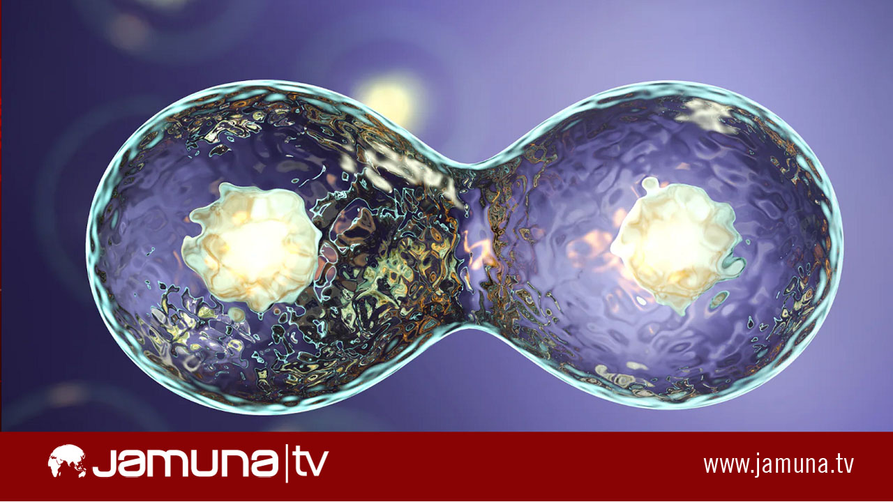 প্রথমবারের মতো ডিম্বাণু-শুক্রাণু ছাড়াই কৃত্রিম ভ্রুণ সৃষ্টি করলেন বিজ্ঞানীরা!