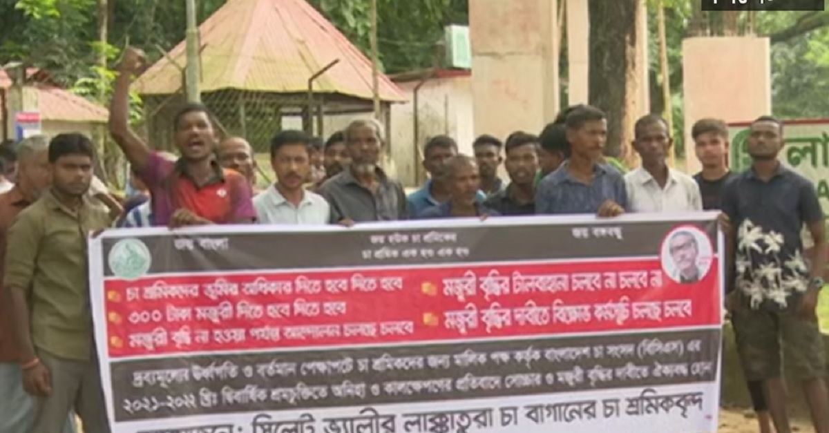 মজুরি বৃদ্ধির দাবিতে অনড় চা শ্রমিকরা